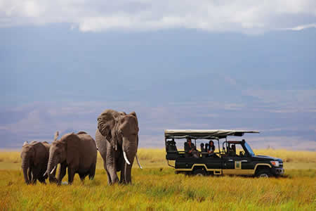 Rugged Frontier Safari