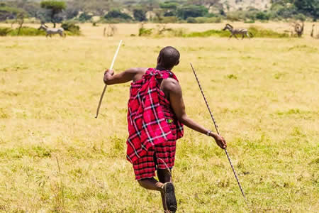 Red Maasai Safari