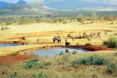 Explorer Kenya Safari