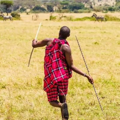Red Maasai